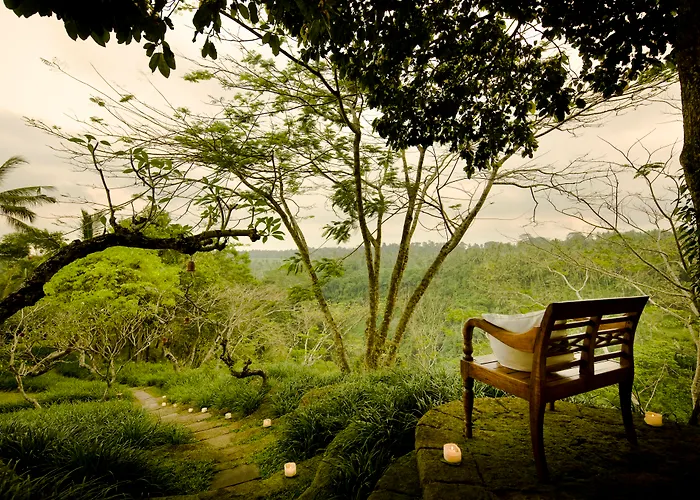 Resort Shambhala Estate