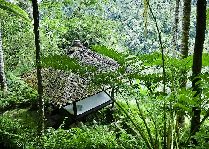 Resort Shambhala Estate