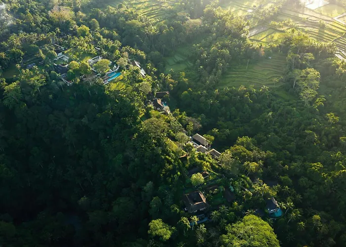 Shambhala Estate Payangan